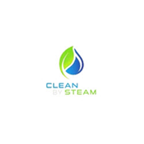 Clean by Steam
